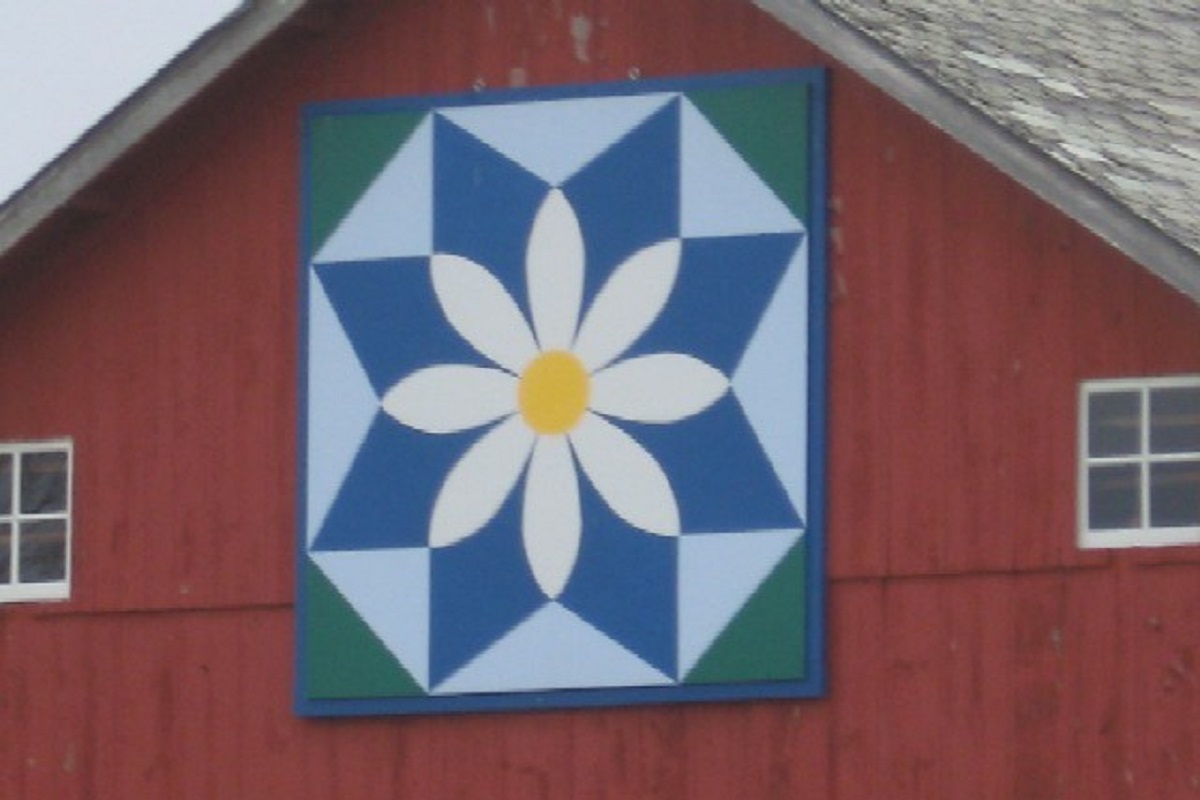 5. Texas Daisy Barn Quilt