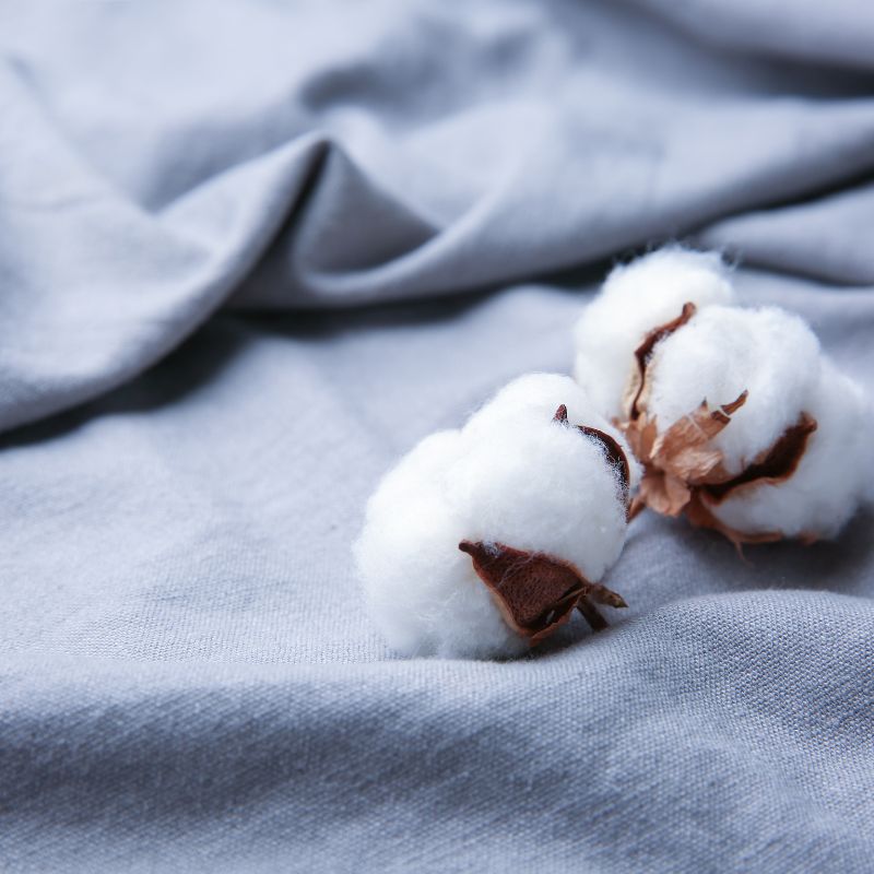 Pima Cotton