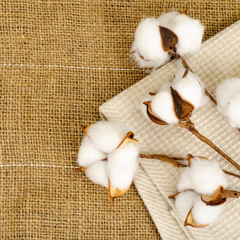 Types Of Cotton Fabric