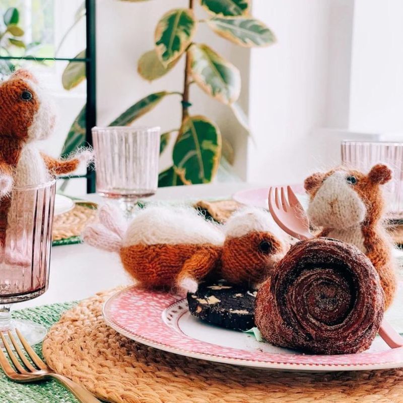 Cashmere Guinea Pig Knitting Kit