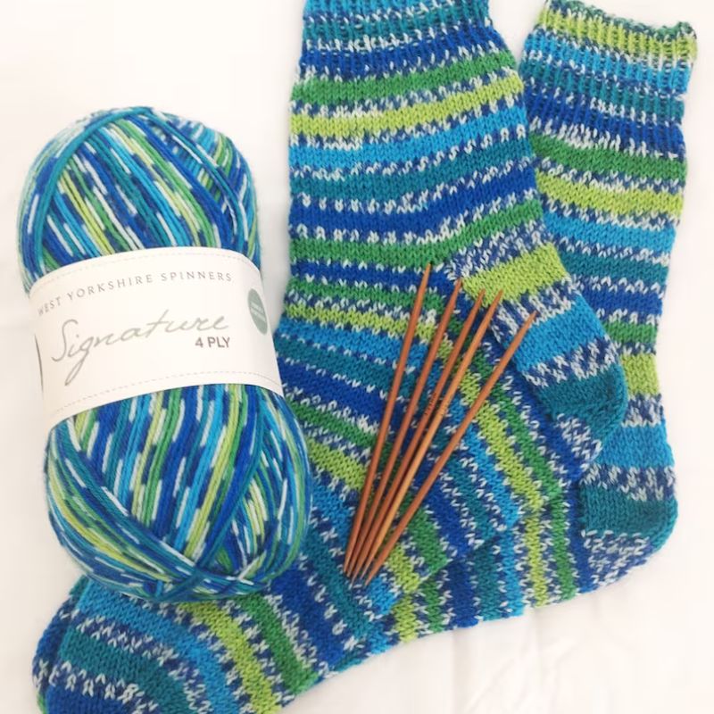Bird Colors Sock Knitting Kit