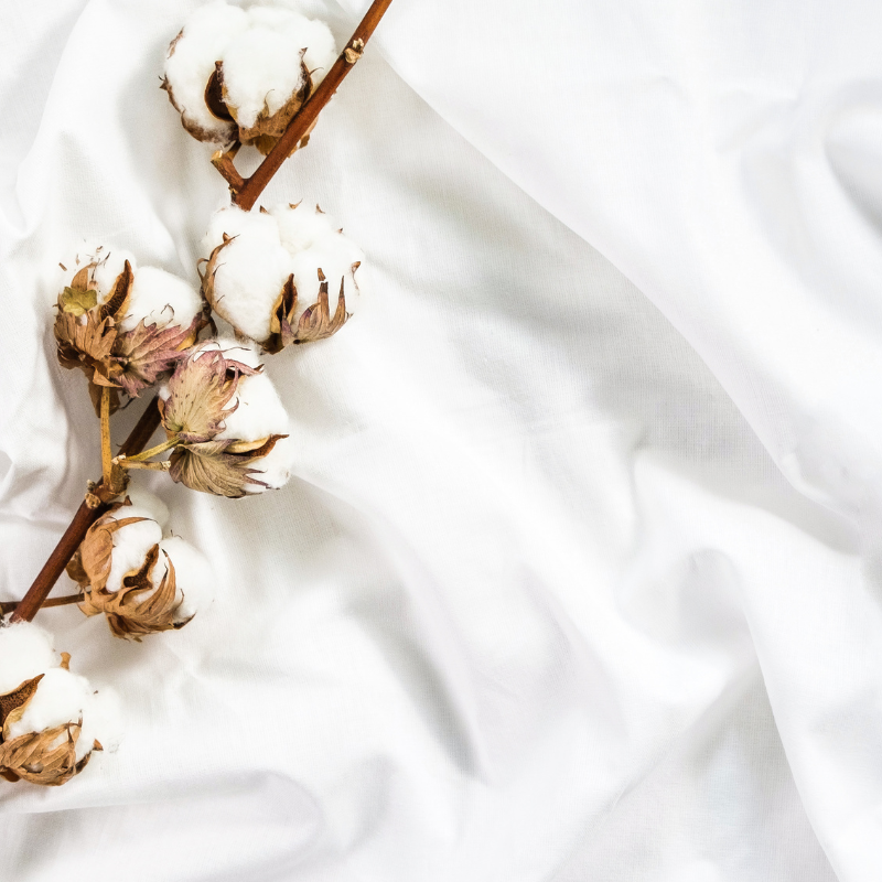 Properties Of Cotton